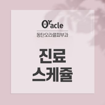 11월 진료 스케쥴